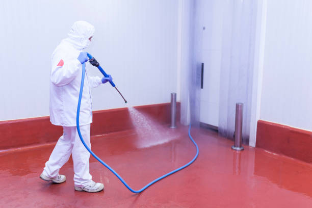 Best Roof Washing  in Bermuda Dunes, CA